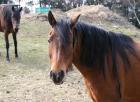 Img_1541.jpg - 72kb