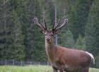 Img_1923.jpg - 44kb