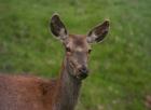 Img_1932.jpg - 34kb