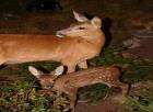 Img_5387.jpg - 80kb