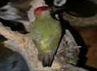 Img_5392.jpg - 62kb
