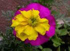 Dscn1501.jpg - 50kb