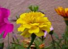 Dscn1506.jpg - 48kb