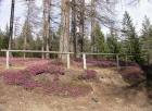 Dscn1160.jpg - 150kb