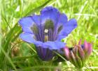 Dscn2211.jpg - 64kb