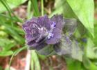 Dscn2244.jpg - 64kb