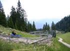 IMG_7018_Alpine Coaster.jpg - 91kb
