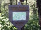img_4477.jpg - 78kb