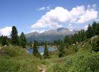 IMG_7223_Colbricon.jpg - 88kb