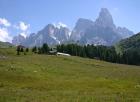 IMG_7185_Rolle.jpg - 81kb