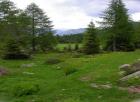dscn5632.jpg - 102kb