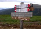 dscn5547.jpg - 88kb