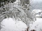 Neve_19-03-07