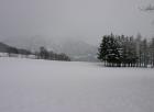 Img_5137.jpg - 31kb