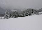 Img_5149.jpg - 41kb