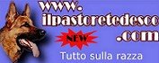 Il Pastore Tedesco