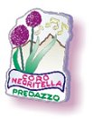 Il Coro Negritella di Predazzo