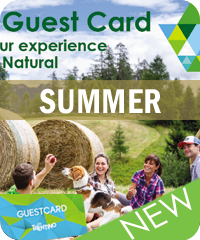 Fiemme Motion CARD Sommer