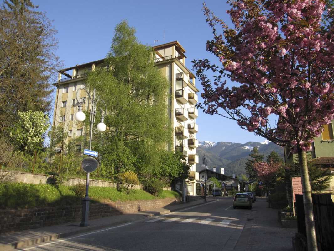 Appartamento Vacanze / Flat / Wohnung zu vermieten a Cavalese - Signora Giuditta - Via Libertà 13 - Tel: 3480341996