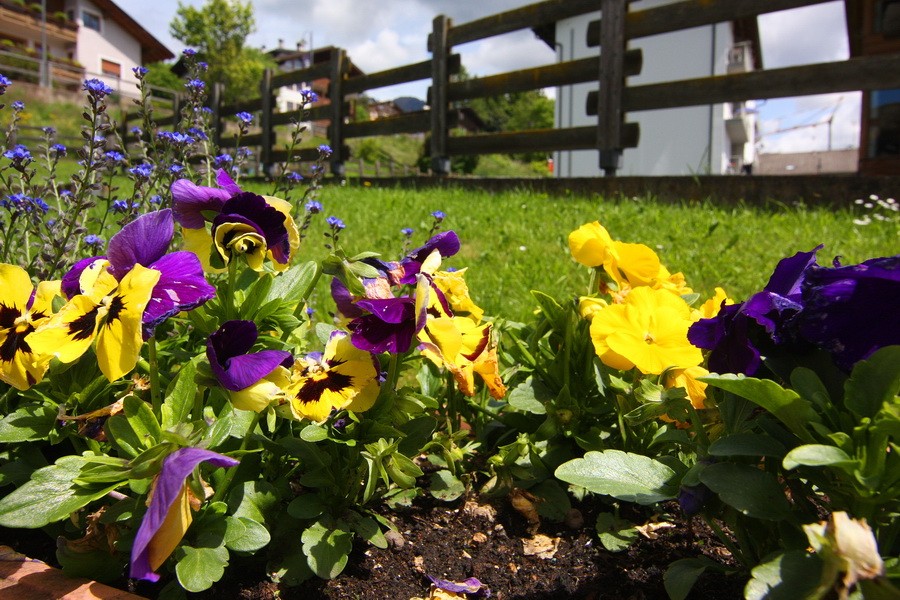 Appartamento Vacanze / Flat / Wohnung zu vermieten a Castello Molina di Fiemme - Signor Tiziano - Via Latemar 3A - Tel: 3398123077