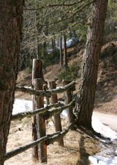 Foto Gallery Val di Fiemme By www.valfiemme.com