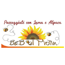 B&B el Molin Lama e Alpaca