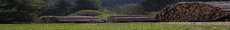 www.valfiemme.com Info Val di Fiemme - Portale turistico informativo della Val di Fiemme, hotel, garnì, appartamenti, residence, agritur, esercizi, strutture, prenotazioni on line