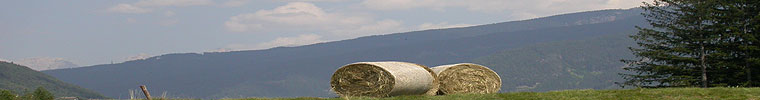 www.valfiemme.com Info Val di Fiemme - Portale turistico informativo della Val di Fiemme, hotel, garnì, appartamenti, residence, agritur, esercizi, strutture, prenotazioni on line