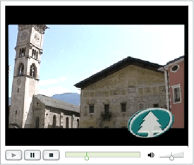 Clicca per vedere il Video